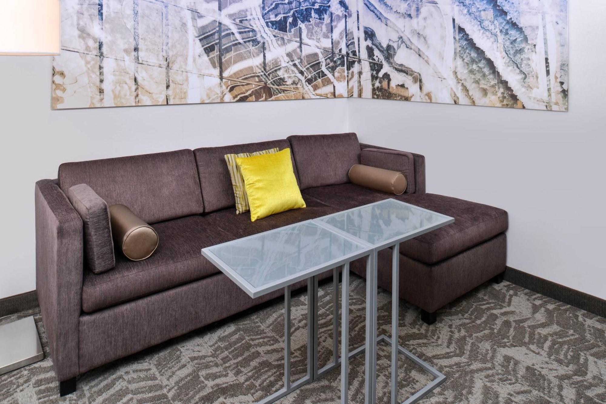 Springhill Suites By Marriott Detroit Metro Airport Romulus Eksteriør bilde